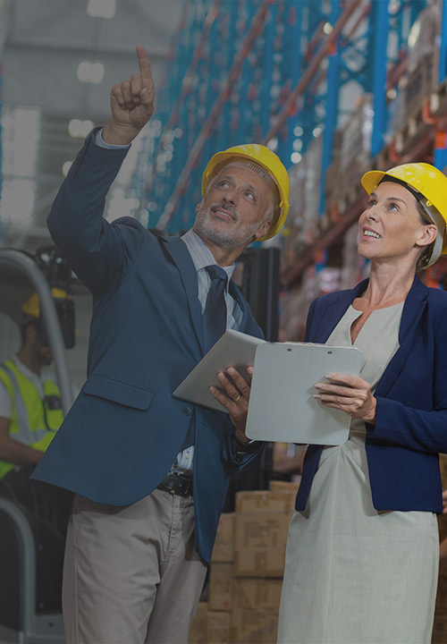 Supply Chain & Retail Planning <br> mit RELEX